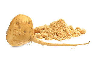 Maca: el afrodisíaco de los incas