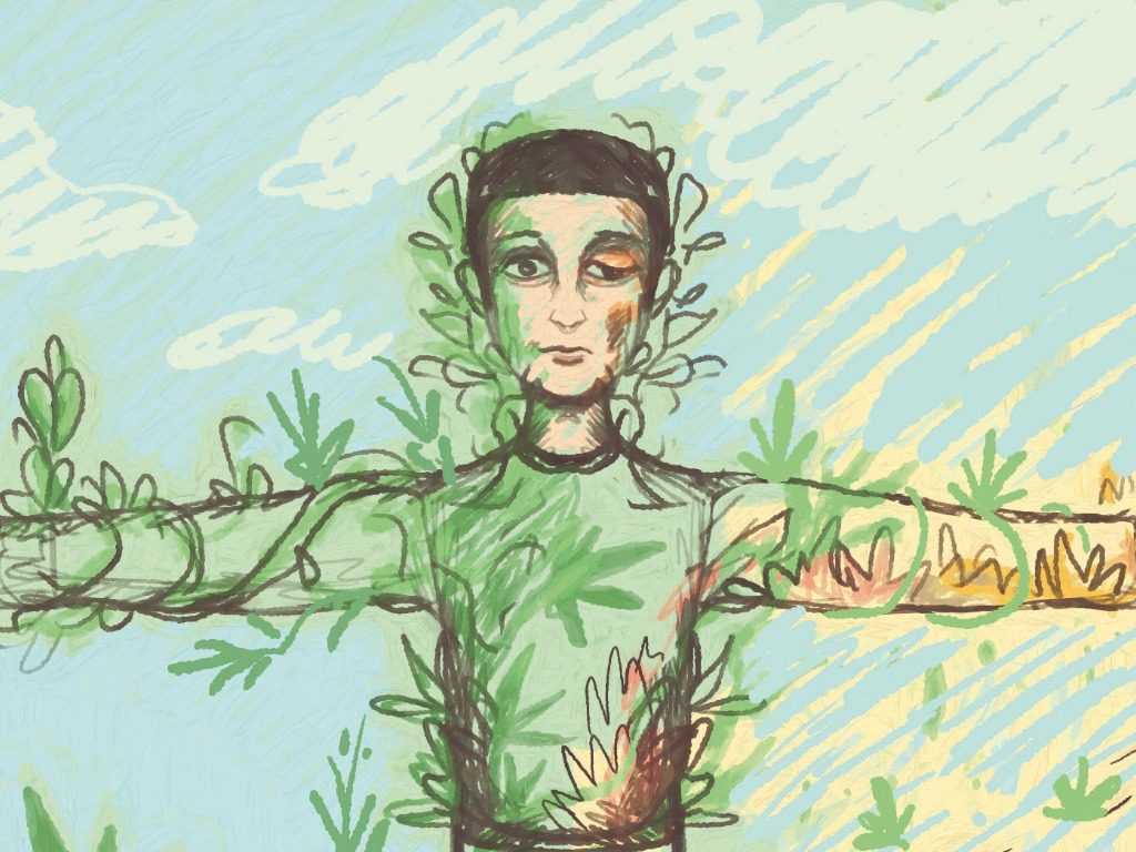 ilustracion quemaduras cannabis