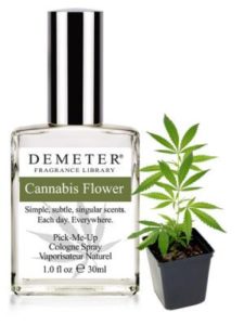 Productivo competencia en caso Perfumes de cannabis