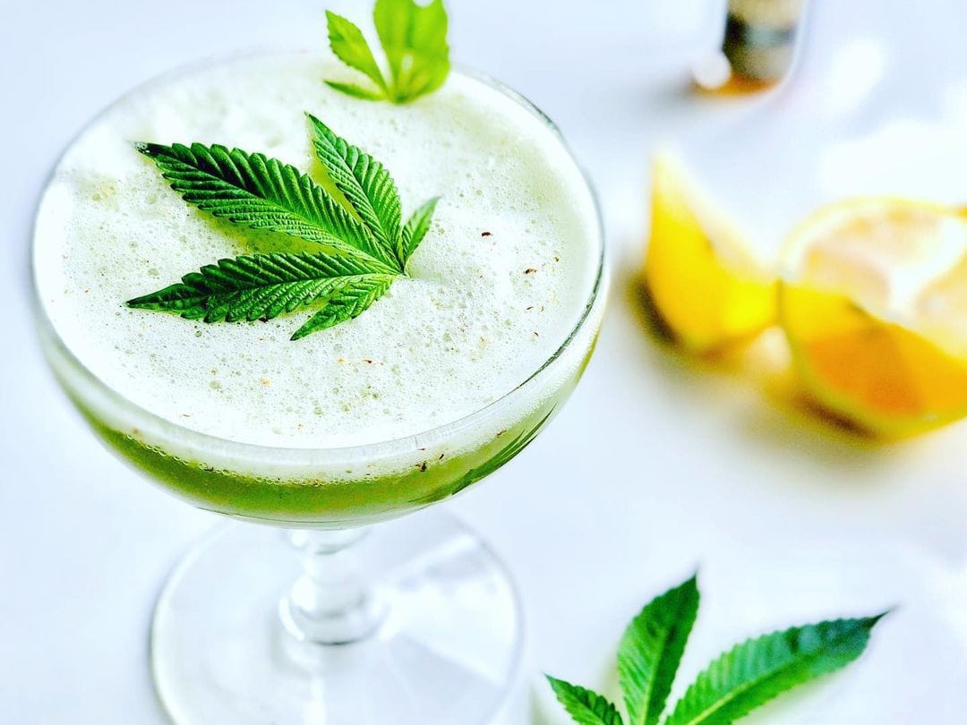 alcohol cannabis recomendaciones