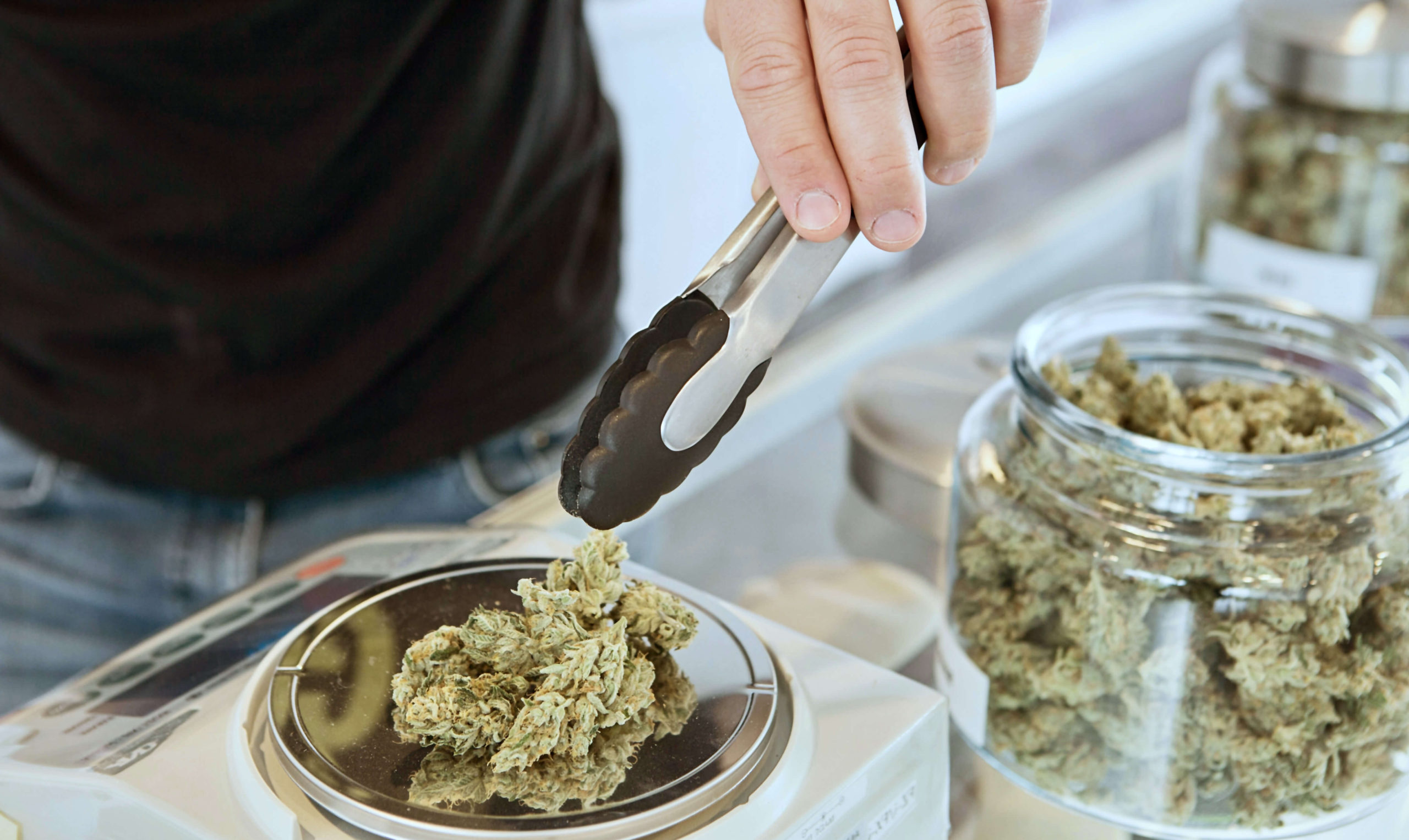 dispensario cannabis canadá