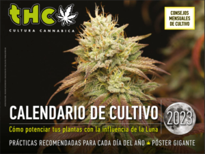 El Calendario Lunar Para Plantar Cannabis