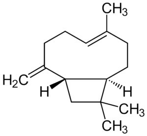 betacariofileno