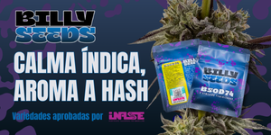 Publicidad: Billy Seeds, variedades índicas con aroma a hash.