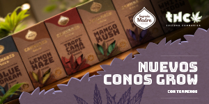 Publicidad: Sagrada Madre, nuevos conos grow.